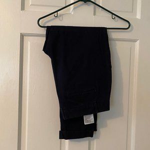 Banana Republic Navy City Chino